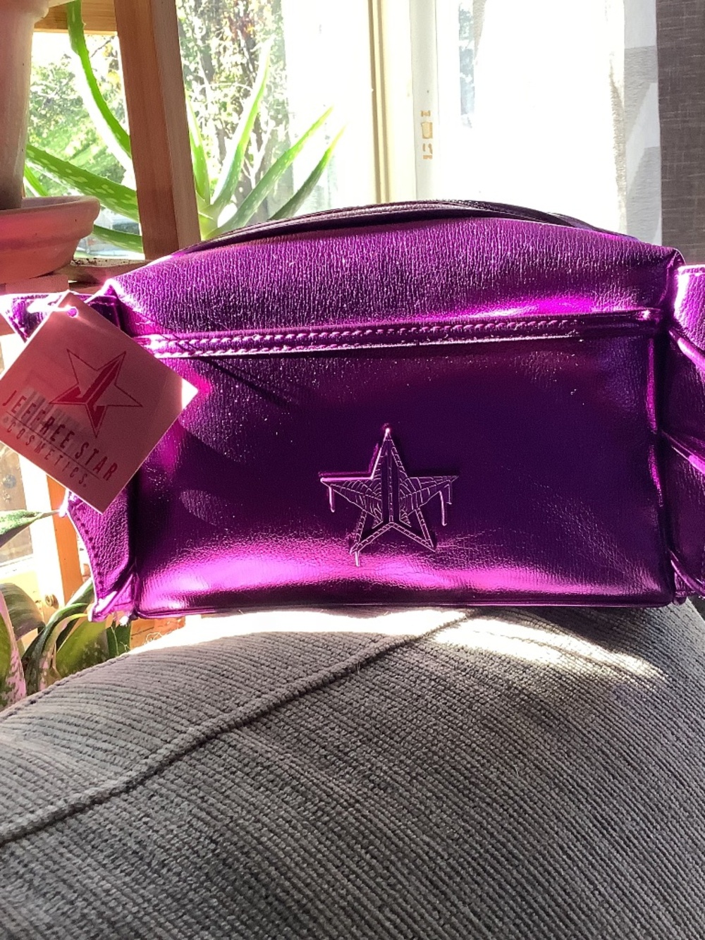 Jeffrey Star 2025 limited zipper bag-Purple Great for makeup and accessories.